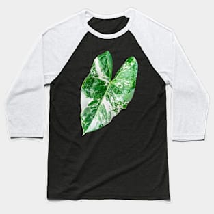 Alocasia Leaf Baseball T-Shirt